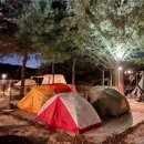 자작 캠핑장 이미지