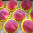 흥대농장 이미지