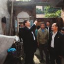 부흥이네 이미지