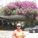 마리나비치 이미지