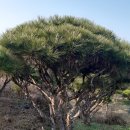 금반농장 이미지