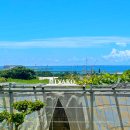 보람농장 | 미야코지마 망고 농장 카페 시라바리팜 카페 프라페 크로플 후기