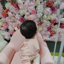 [육아일기]10개월305일/ 마마스힐링베이비카페 노원 후기