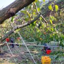 성진농장 이미지