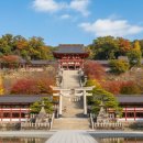 만궁 | 도쿄 근교 가마쿠라 여행 가는 방법과 11월의 쓰루가오카 하치만궁 후기