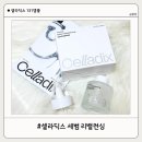 딕스시스템 | [셀라딕스]조유리앰플 피지연화앰플 셀라딕스131앰플 조유리피지연화앰플 사용 후기
