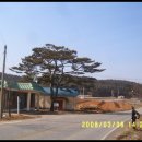 나윤목장 Daum카페