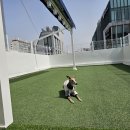 리디아 동물병원 이미지