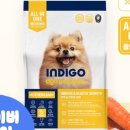 퍼피앤독 이미지