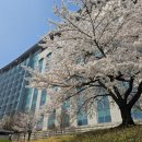 현대연합의원 | 후기] 국회 정책토론회: K-컬처 예술의 치유적 역할을 만나다