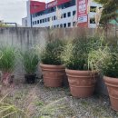 남양도서관 이미지