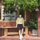 대구 봉산동 카페 등나무가 예쁜 피플스커피 후기