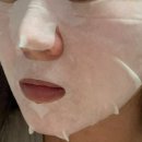 올크리에이션 네이버블로그