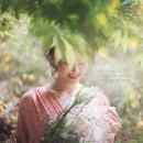 자연의소리정원 뉴데일리