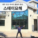 스테이묘해 네이버블로그