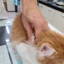 가야종합동물병원 이미지