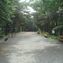 황령산 편백단지 Daum카페