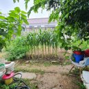 터사랑 공인중개사사무소 이미지