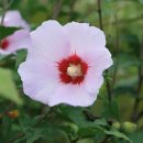 화천2리 이미지