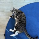 어떤날민박 이미지