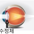 안경존중 북위례점 이미지