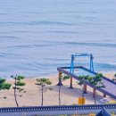 동해바다 2 이미지