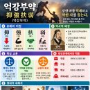 《삶의 지혜》 억강부약 이미지