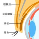 송탄하나안과의원 | 송탄안과 송탄성모안과, 봄철 안구건조증 : 40대 여성·렌즈 사용자가 더 위험한 이유
