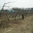 현강농장 이미지