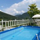 해피도그 이미지