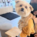 아이봄동물병원 이미지