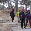 이은영와세다의원 티스토리