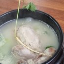 동래옻닭 | 2026년 4월 3일 경남 진주 벚꽃 현황 만개 월아산 숲속의 진주 벚꽃명소