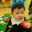 딸기나라 이미지