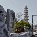 부길사 - 창원시 진해구 벚꽃로60번길 19-5 | 부길사