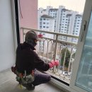 포독포독 이미지