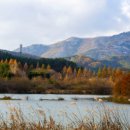 상무안경 이미지