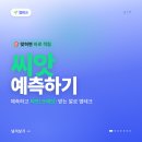 깔로