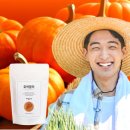 정상농원 | 호박팥차 포함 청년농원 건강차 4종 솔직 후기 (효능 비교)