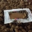 남해마실농장