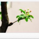 호수여인숙 이미지