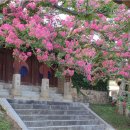 병산서원 화장실 이미지