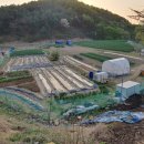 가현농장 이미지