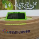 충청남도 산림박물관 이미지