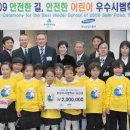 우수안전장식