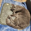 예산 위드엔젤 이미지