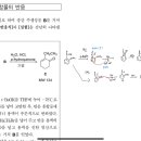 2016 유기 5번 birch 환원 이미지