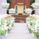 엘플라워 - 고양시 일산동구 견달산로 70 | 엘플라워