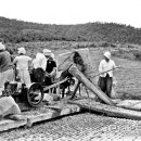 무학농장 이미지