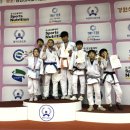 코리아 유도 멀티짐 이미지